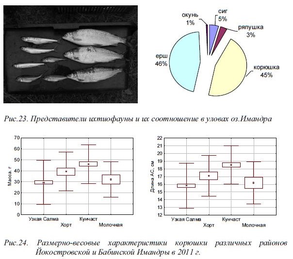 Рис.23. Представители ихтиофауны и их соотношение в уловах оз.Имандра