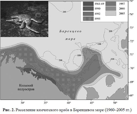 Рис. 2. Расселение камчатского краба в Баренцевом море (1960-2005 гг.)