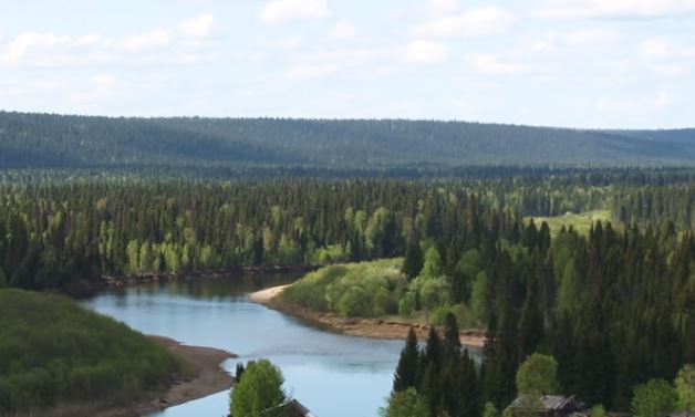 Pechora originates in the Belt Stone Mountains (Ural).